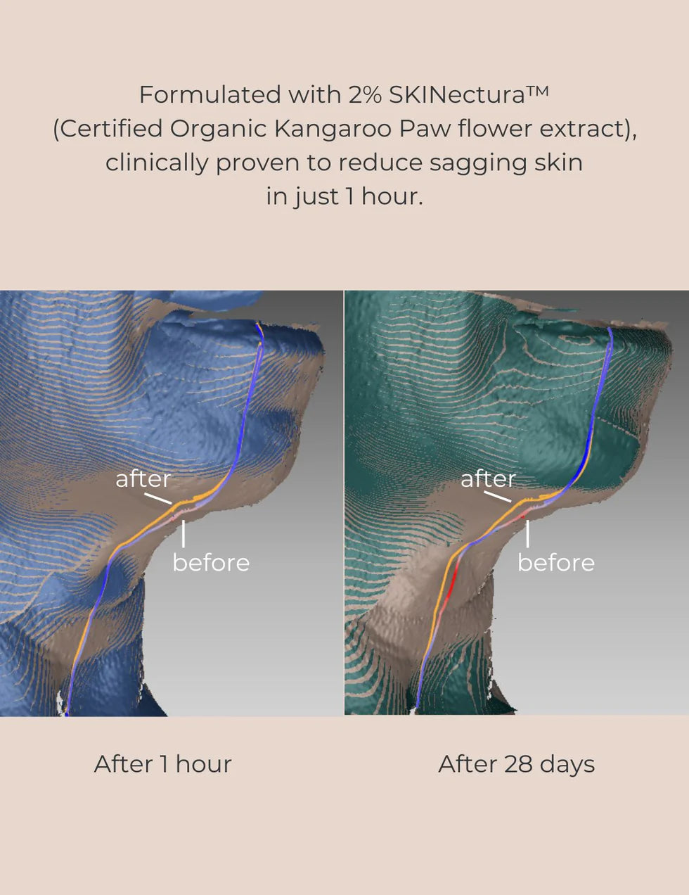 Pure Perfection Primer