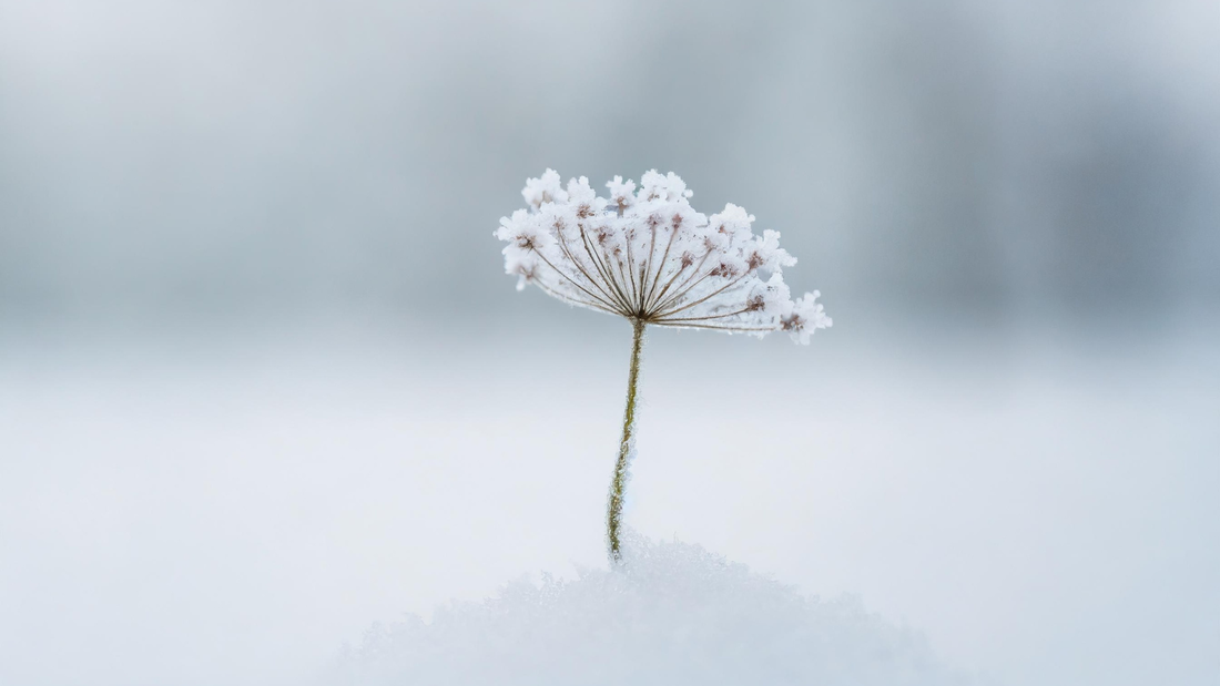 Winterproof je huid: handen, voeten en lippen