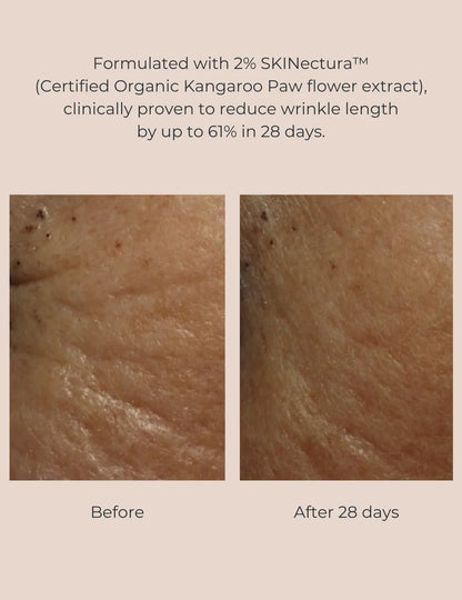 Pure Perfection Primer